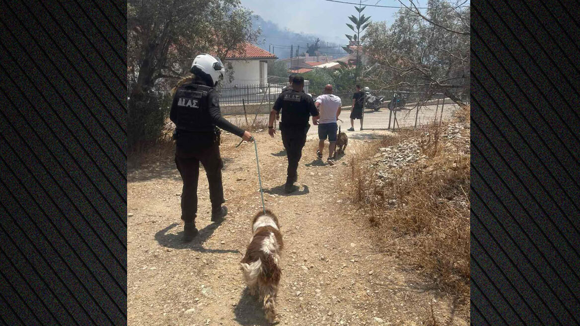 Βίντεο: Επιχειρήσεις της ΕΛΑΣ για τον απεγκλωβισμό κατοίκων και ζώων στην Παλαιά Φώκαια