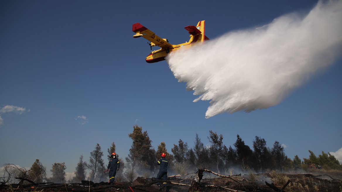 Πυροσβεστική: 40 πυρκαγιές ξέσπασαν το τελευταίο 24ωρο σε όλη τη χώρα