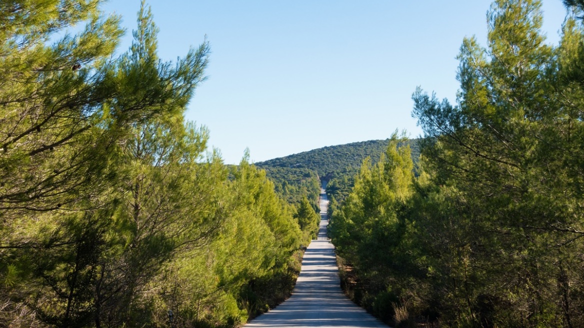 Απαγόρευση κυκλοφορίας σε περιοχές της Κασσάνδρας το Σάββατο λόγω του κινδύνου πυρκαγιάς