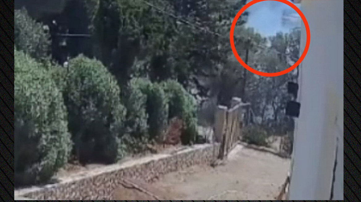 Βραχυκύκλωμα σε ακαθάριστο οικόπεδο: Βίντεο ντοκουμέντο για τη μεγάλη φωτιά στο Θυμάρι - Οι καταγγελίες και η στάση του Δήμου