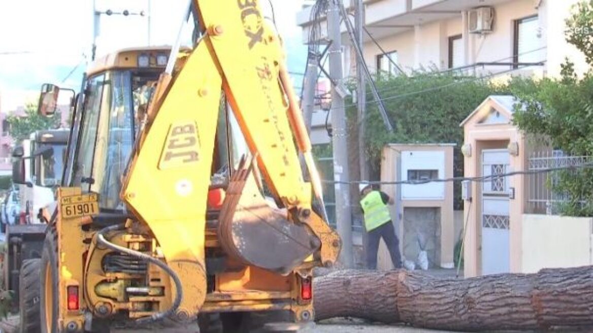 Δέντρο έπεσε σε αυτοκίνητο στην Κηφισιά - Ζημιές και σε μάντρα