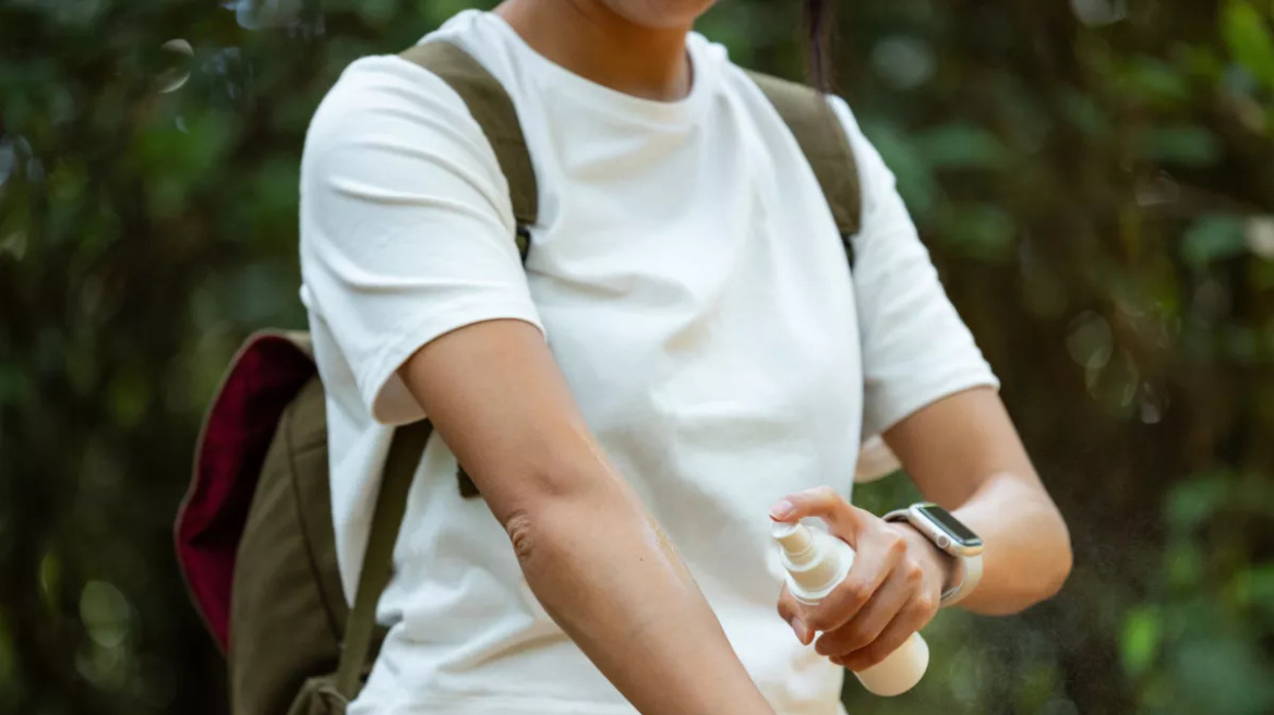 Κουνούπια: Και μέσα στα αεροπλάνα υποχρεωτικοί ψεκασμοί για προφύλαξη από μεταδοτικές νόσους
