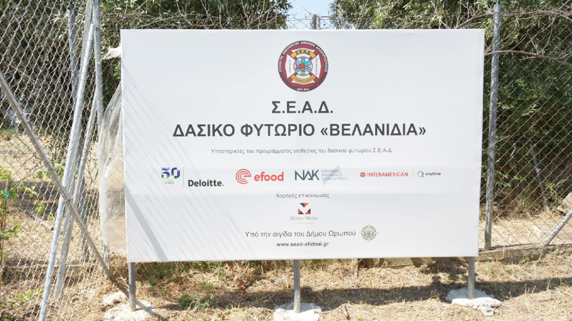 Οι εταιρείες efood, Interamerican, Anytime, Deloitte και NAK Insurance Brokers συμβάλλουν ενεργά στη διάσωση των δασών της Αττικής