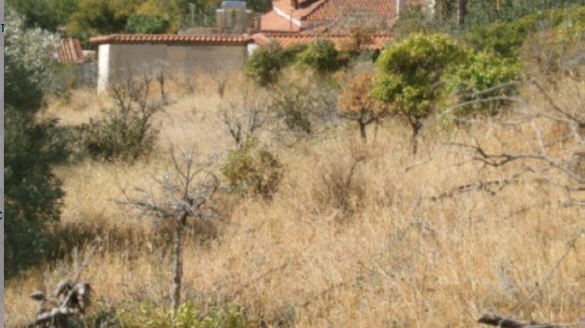 Οικογένεια Αγούδημου: Σε νέο ιδιοκτήτη πέρασε ακίνητό της στα Καλύβια
