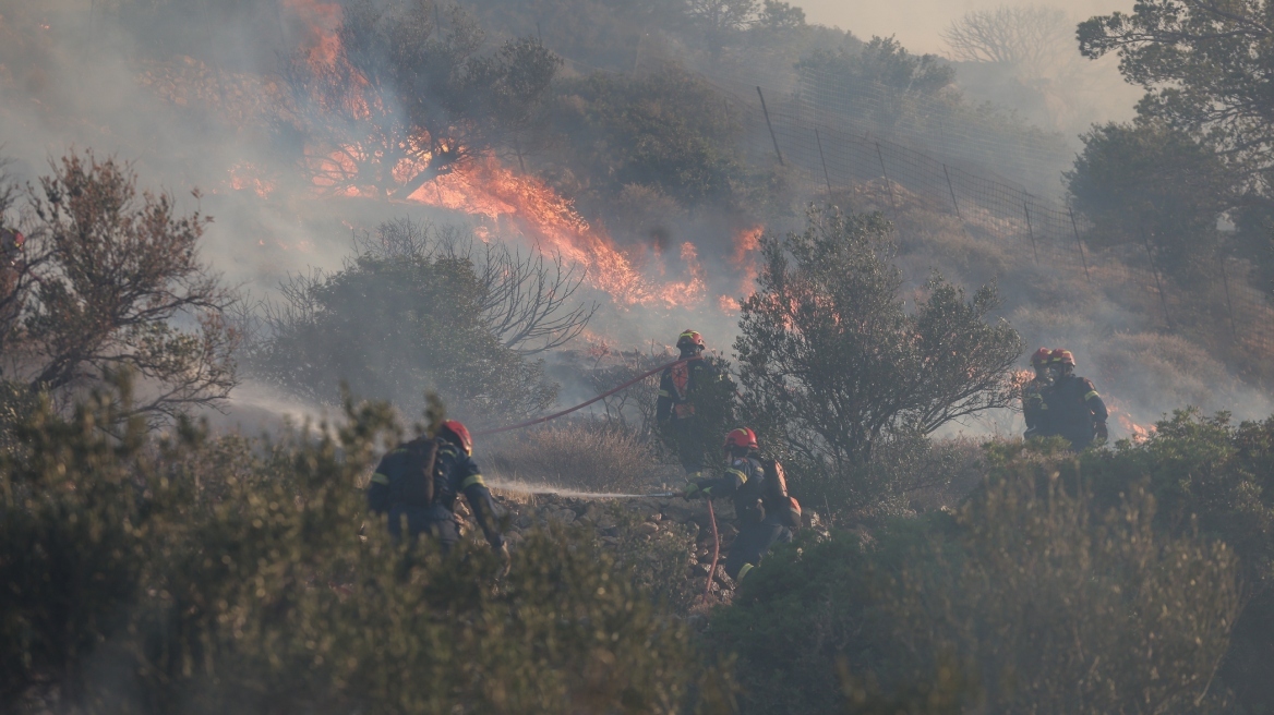 Πυροσβεστική: 36 αγροτοδασικές πυρκαγιές το τελευταίο 24ωρο σε όλη τη χώρα