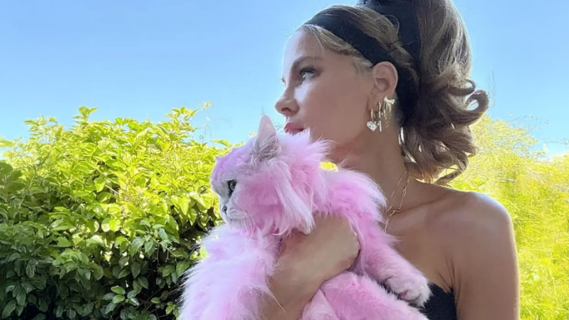 Κέιτ Μπέκινσεϊλ: Αντιδράσεις για τις φωτογραφίες της ηθοποιού με τη γάτα της - «Την έβαψες ροζ;» ρωτάνε