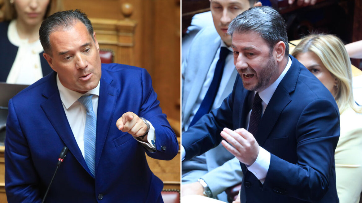 Κόντρα Γεωργιάδη - Ανδρουλάκη στη Βουλή για τον ΟΠΕΚΕΠΕ: Μην μας το παίζετε αθώες περιστερές - Δείτε βίντεο