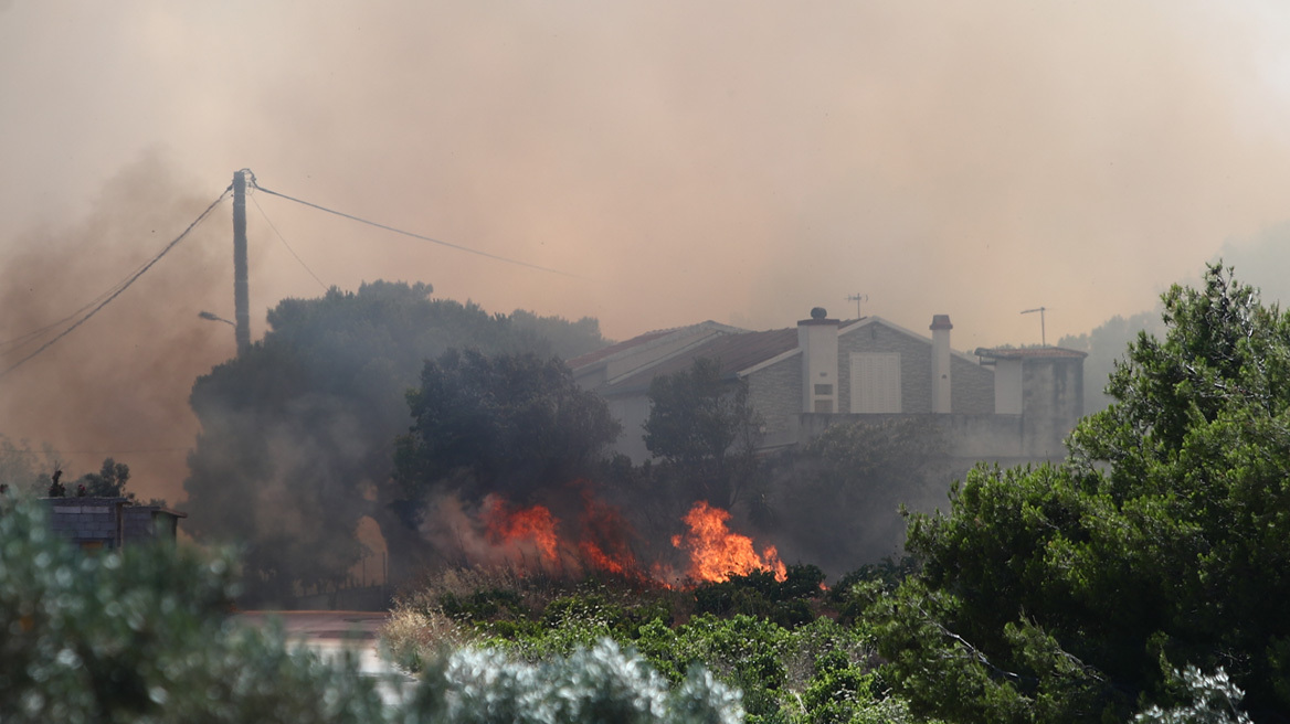 Φωτιά στη Λεωφόρο Μαραθώνος στη Ραφήνα - 112 για εκκένωση τριών οικισμών, δείτε βίντεο και φωτογραφίες