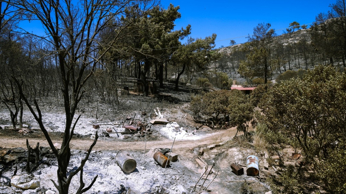 Δικογραφία για εμπρησμό σε βάρος άνδρα για τις φωτιές σε Άγιο Μακάριο και Άγιο Μάρκο στη Χίο 