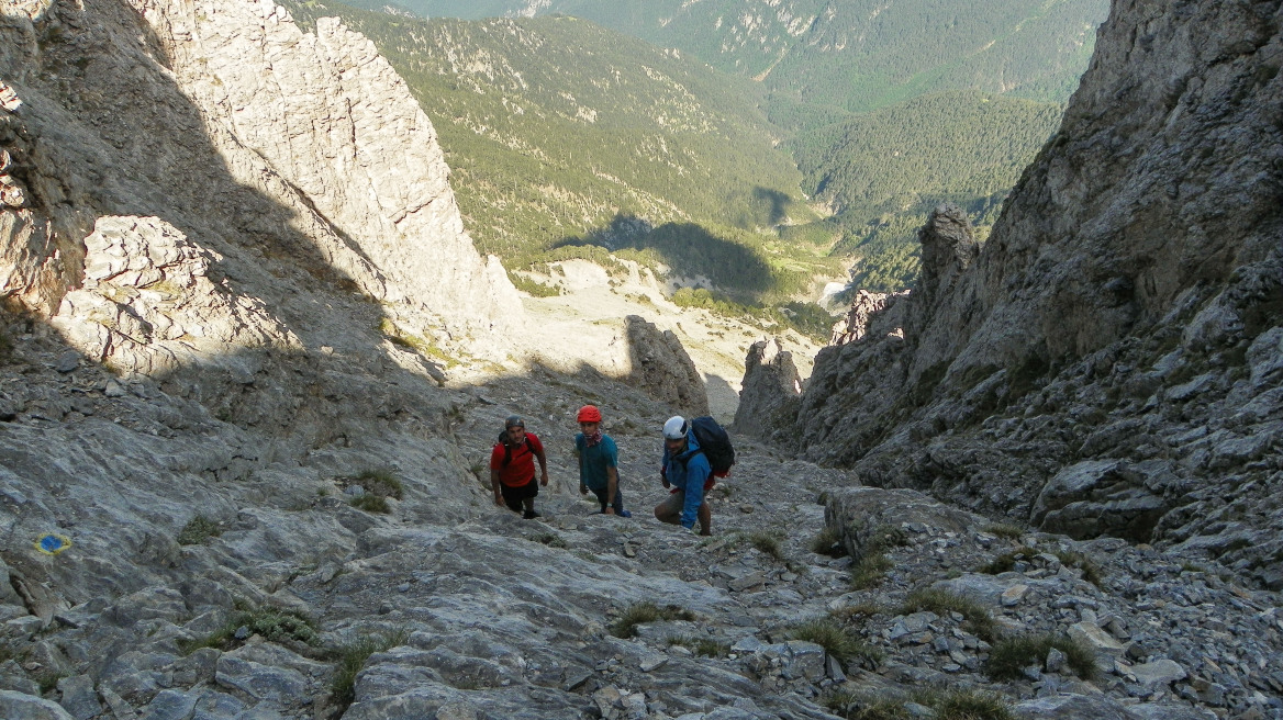 Kινητοποίηση της Πυροσβεστικής για ορειβάτισσα που τραυματίστηκε στον Όλυμπο