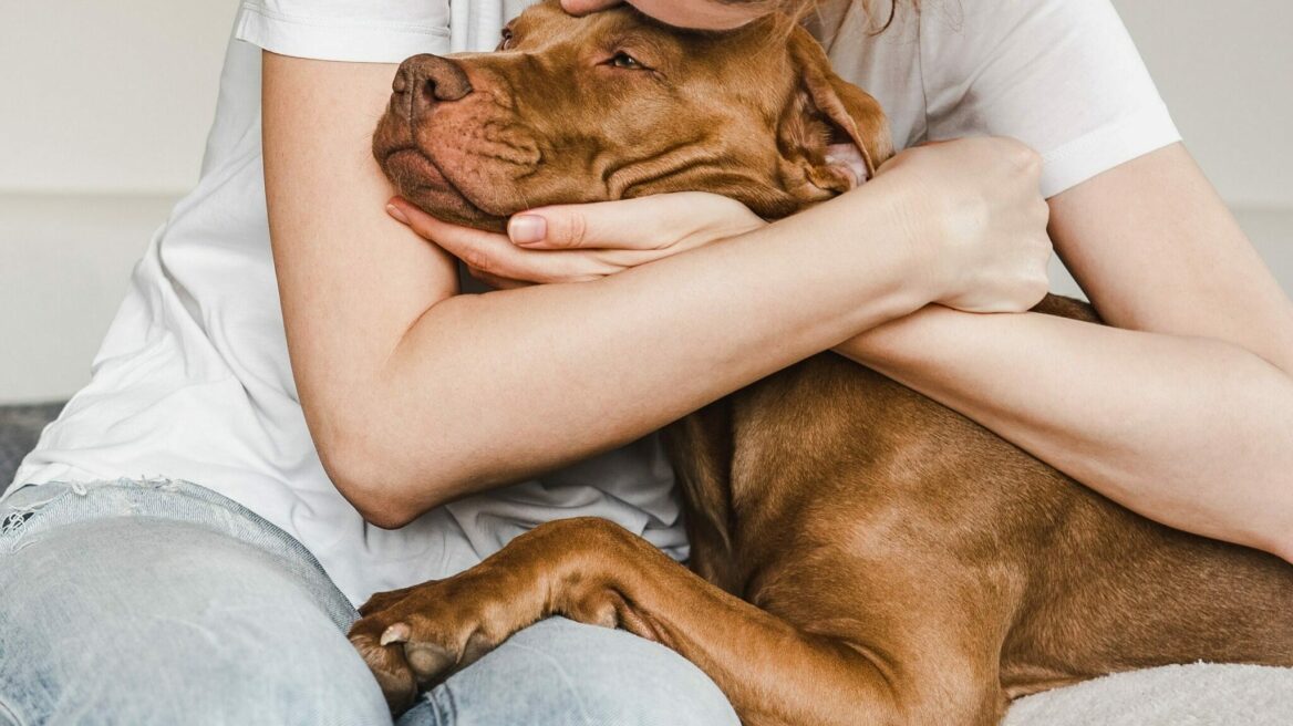 Λεϊσμανίωση (Καλαζάρ): Μύθοι, αλήθειες και όσα πρέπει να ξέρει κάθε κηδεμόνας σκύλου