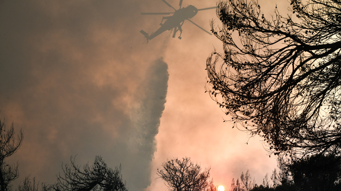 Πυροσβεστική: 43 πυρκαγιές εκδηλώθηκαν το τελευταίο 24ωρο σε όλη τη χώρα