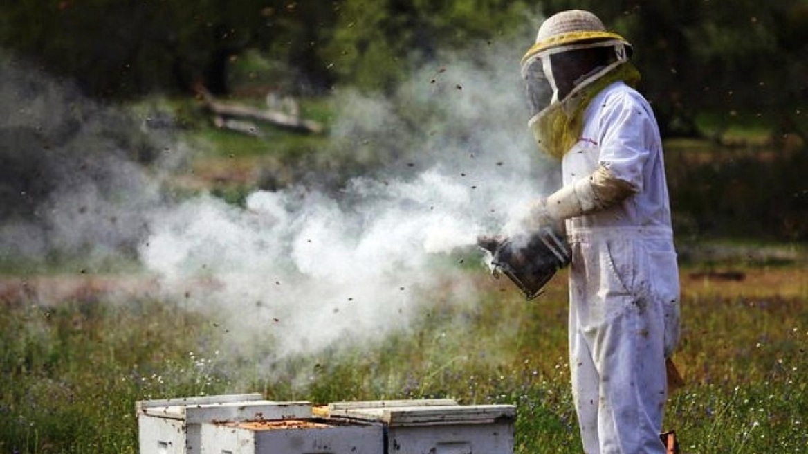 Συνελήφθη 55χρονος μελισσοκόμος για την πυρκαγιά στην Αλυκή Βοιωτίας