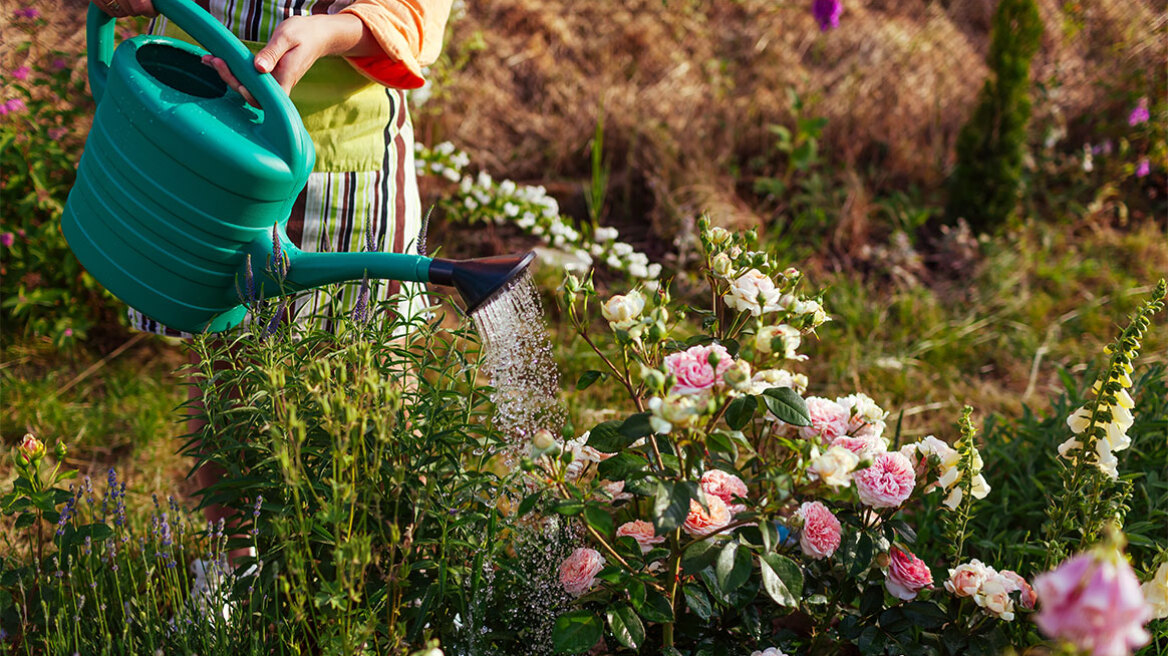 Κήπος: Τα 5 συχνότερα λάθη στο πότισμα και πώς να τα αποφύγετε
