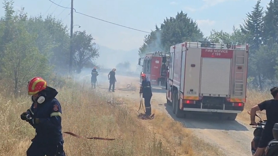 Σε ύφεση η φωτιά στην Κοζάνη: Ήχησε το 112, εκκενώθηκε το πανεπιστήμιο Δυτικής Μακεδονίας - Δείτε βίντεο
