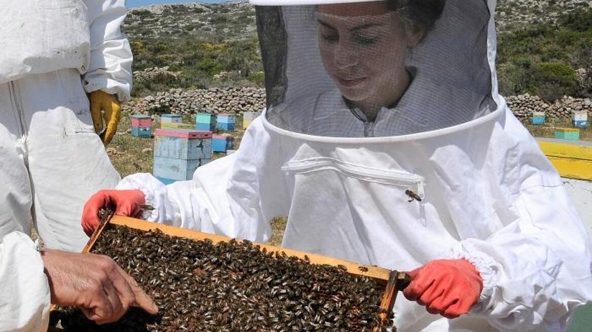 H μελισσοκομική παράδοση Κυθήρων εγγράφεται στο Εθνικό Ευρετήριο Άυλης Πολιτιστικής Κληρονομιάς 