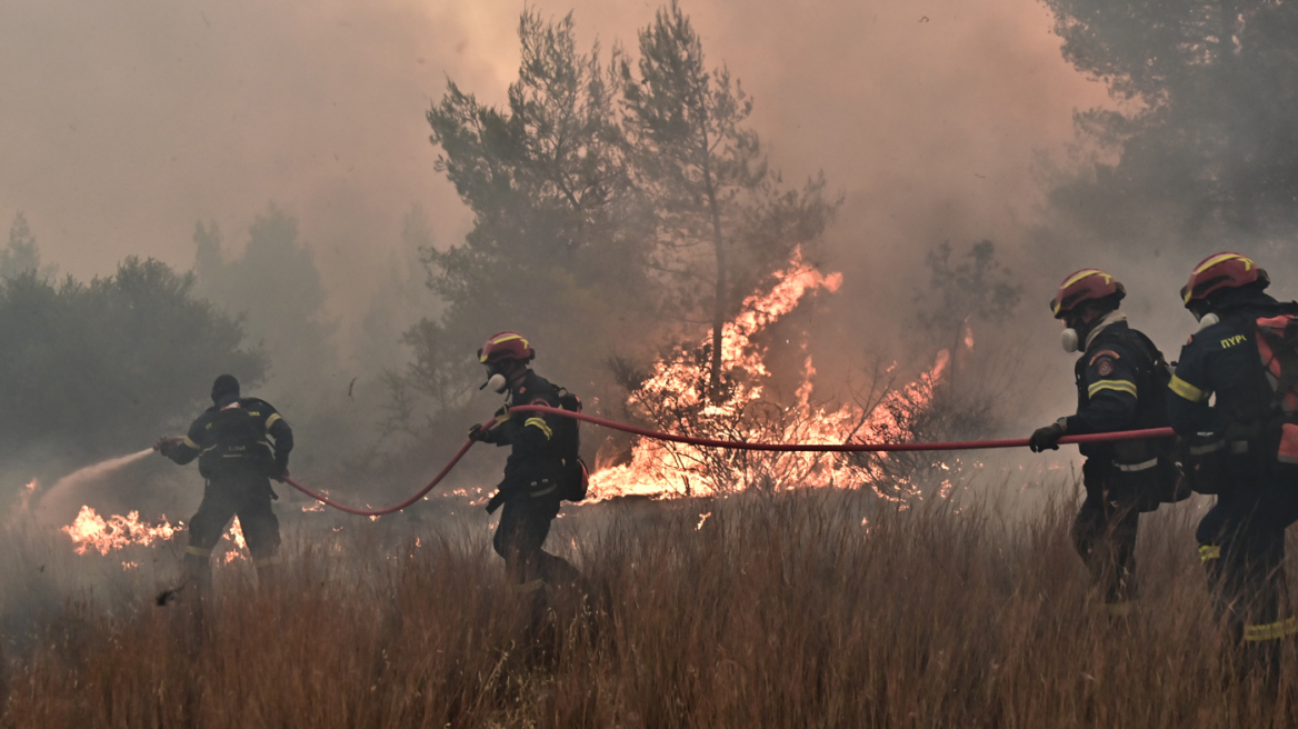 Σε 44 ανήλθαν οι αγροτοδασικές πυρκαγιές το τελευταίο 24ωρο σε όλη τη χώρα