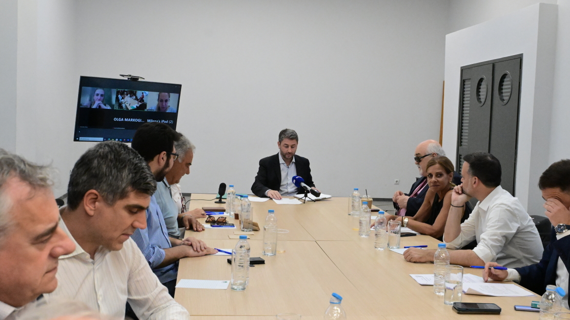 «Παρών» από το ΠΑΣΟΚ στην τροπολογία Πλεύρη για το μεταναστευτικό - Υπέρ του «όχι» ο Δούκας