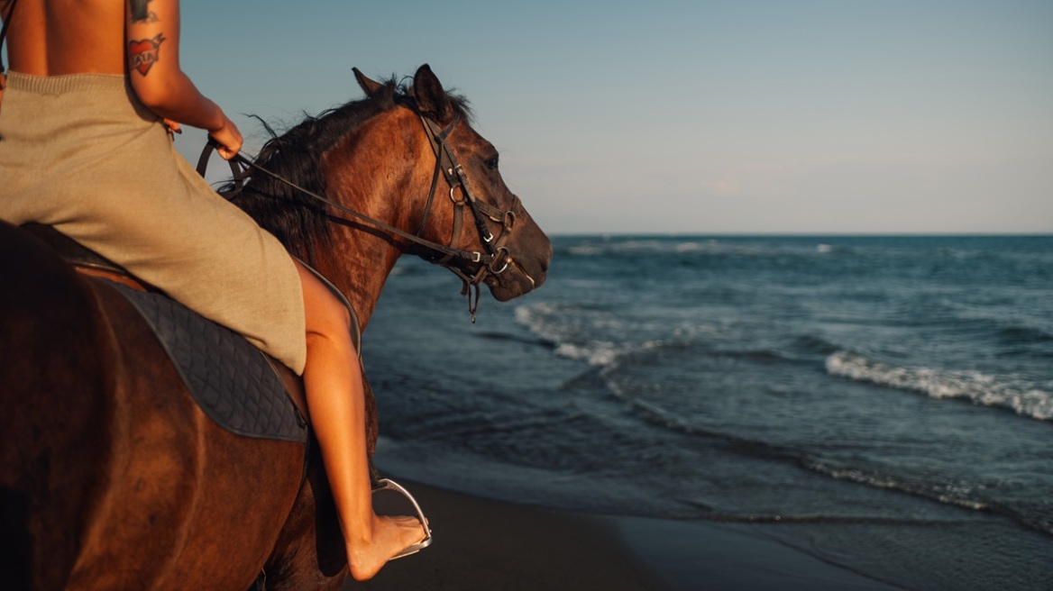 Θάσος: Άλογα πάτησαν πεντάχρονη σε παραλία - Νοσηλεύεται στο νοσοκομείο Καβάλας