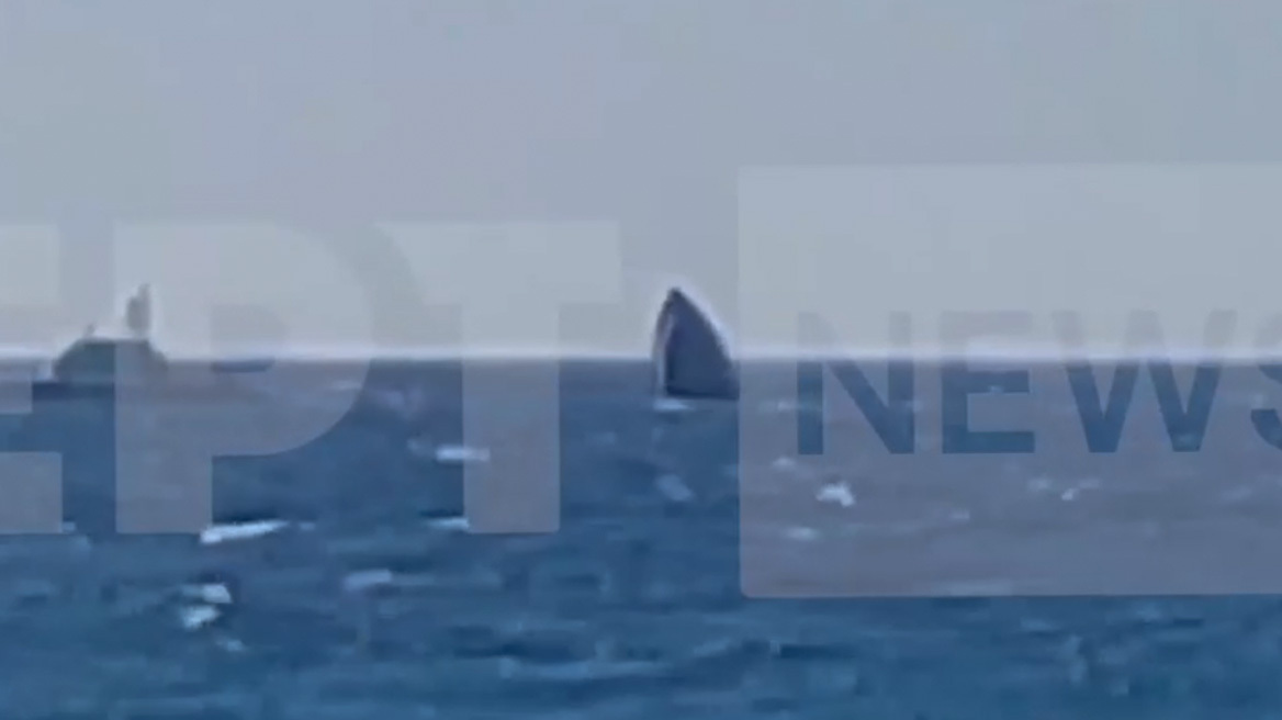 Βυθίστηκε σκάφος της FRONTEX στη Λέσβο - Προσέκρουσε σε ξέρα, δείτε βίντεο