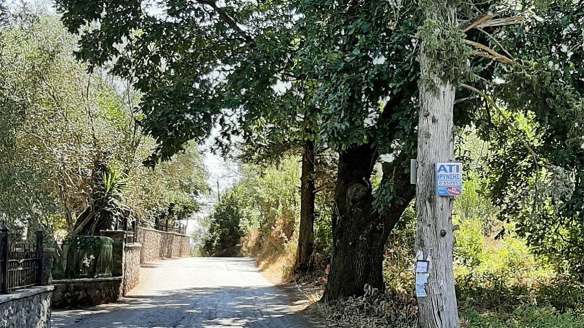 «Κτήμα Καποδίστρια»: Βγαίνει ξανά στο σφυρί και με μειωμένη τιμή εκκίνησης