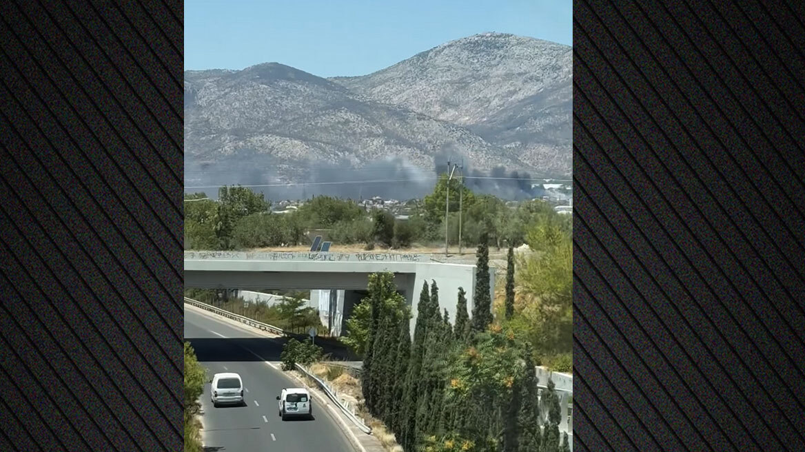Υπό πλήρη έλεγχο η φωτιά στο Μενίδι, παραμένουν δυνάμεις στην περιοχή