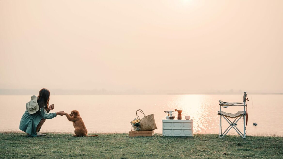 Κάμπινγκ με τον σκύλο: Συμβουλές για να γίνει ασφαλές και ευχάριστο για όλους