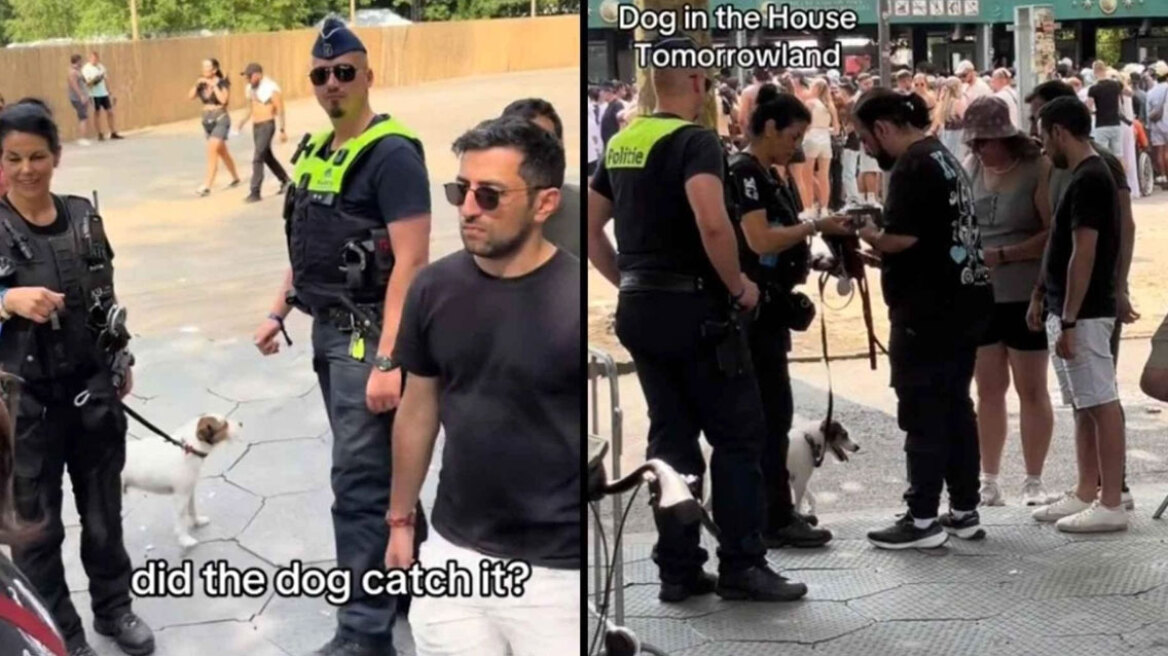 Tomorrowland 2025: Σκύλοι της αστυνομίας εντοπίζουν ναρκωτικά σε θεατές (vid)