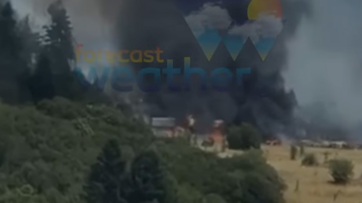 Δύο προσαγωγές για τη μεγάλη φωτιά στον Φενεό: Έκαναν εργασίες με τροχό και ηλεκτροκόλληση μέσα στο δάσος