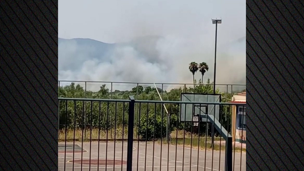 Φωτιά τώρα στο Αριοχώρι της Μεσσηνίας - Δείτε βίντεο