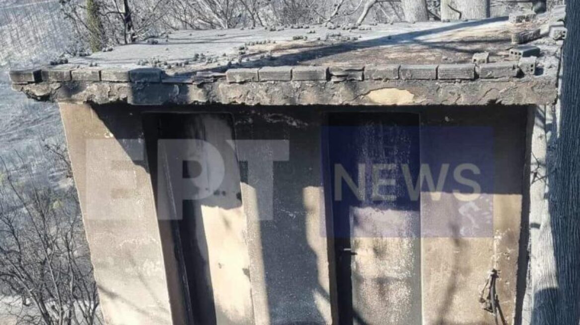 Η επόμενη μέρα στον Φενεό: Στάχτη 12.000 στρέμματα δάσους, ζημιές σε σπίτια και καλλιέργειες  - Δείτε φωτογραφίες