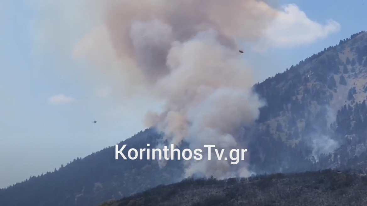 Μεγάλη αναζωπύρωση πάνω από τη Λαύκα στον Φενεό Κορινθίας - Δείτε βίντεο