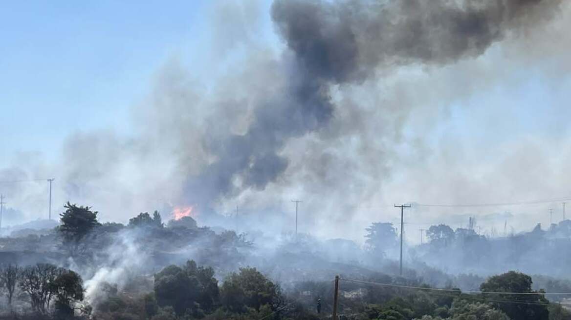 Επιχείρηση απεγκλωβισμού πολιτών από την παραλία Λιμνιώνα Κυθήρων λόγω της μεγάλης φωτιάς
