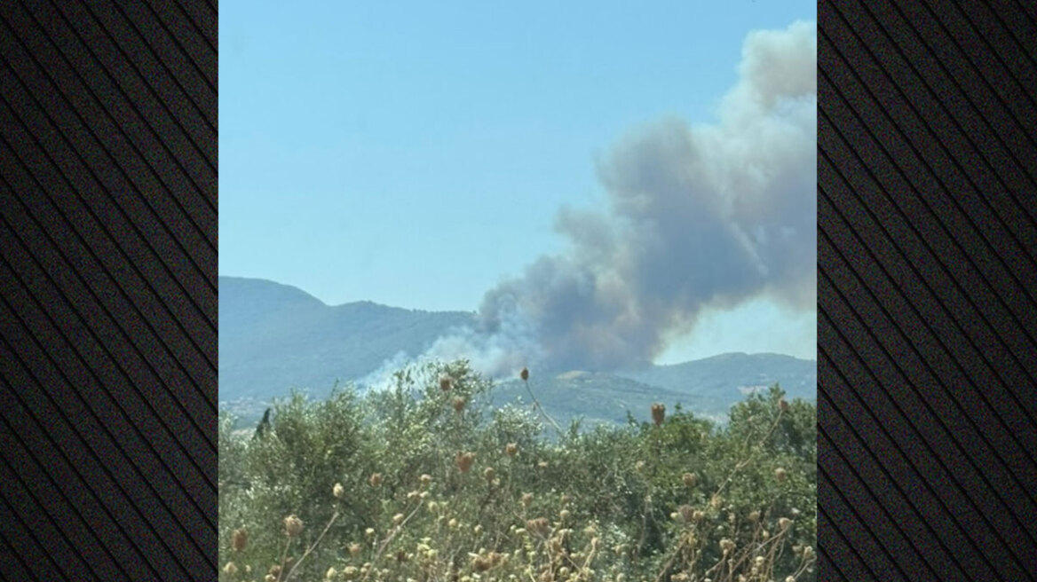 Φωτιά σε δασική έκταση στην Πολυθέα Μεσσηνίας - Εκκενώνονται οι περιοχές Σελλάς και Κρυονέρι