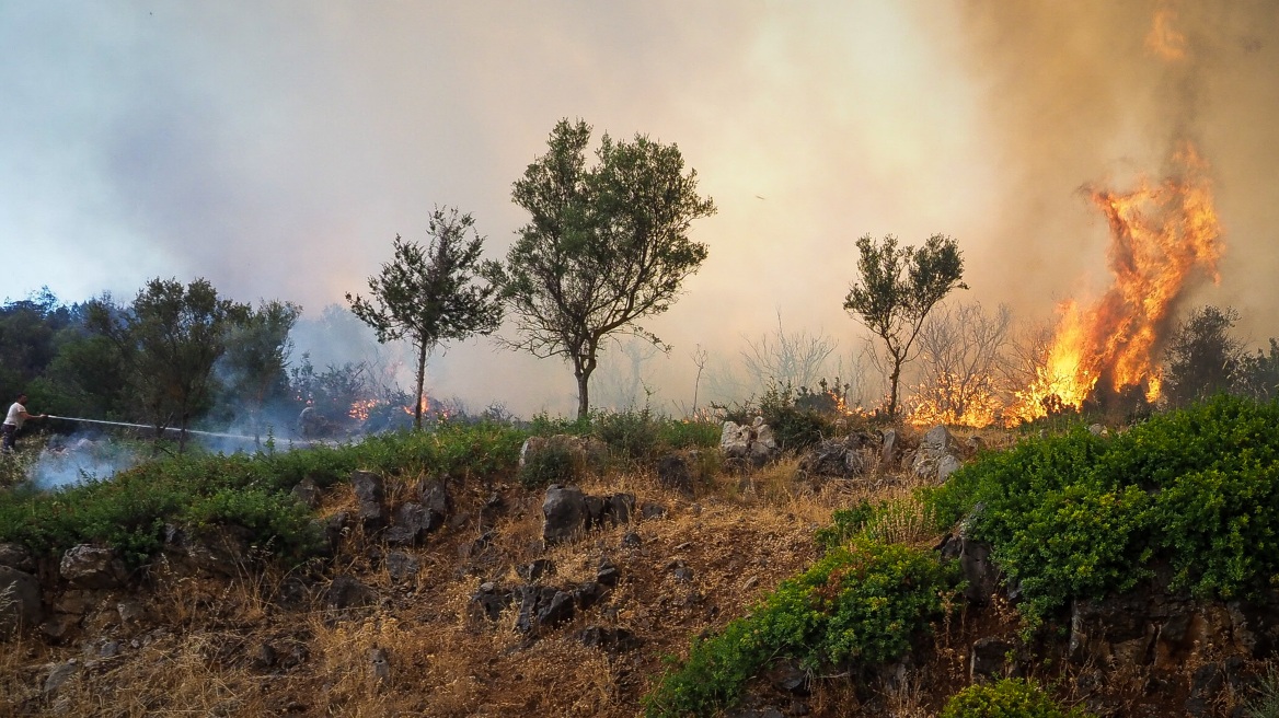 Εύβοια: Ξεκίνησαν ρίψεις νερού από εναέρια μέσα 