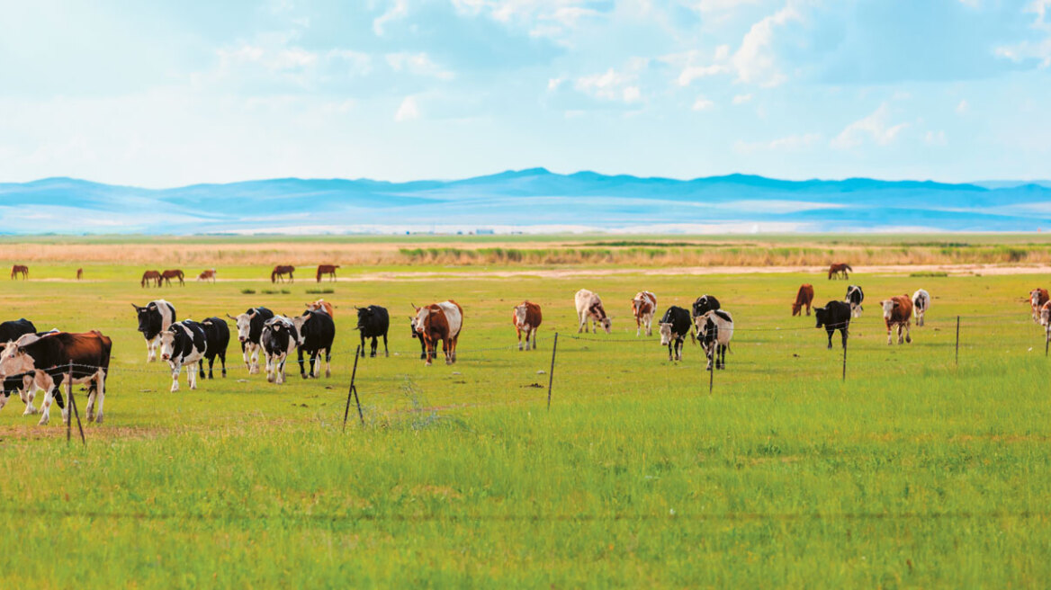 Πάρτι με τα βιολογικά να δείτε! Με εντολή Τσιάρα άρχισαν έλεγχοι για πιστοποιήσεις «μαϊμού» σε βιοκαλλιεργητές