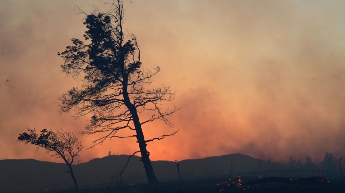 Φωτιά τώρα - Live χάρτης με τις πυρκαγιές σήμερα (27/7) στην Ελλάδα
