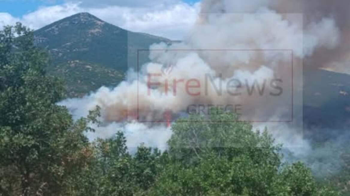 Διάσπαρτες εστίες στη φωτιά στη Δεσκάτη Γρεβενών - Εκκενώθηκε κατασκήνωση με 55 παιδιά