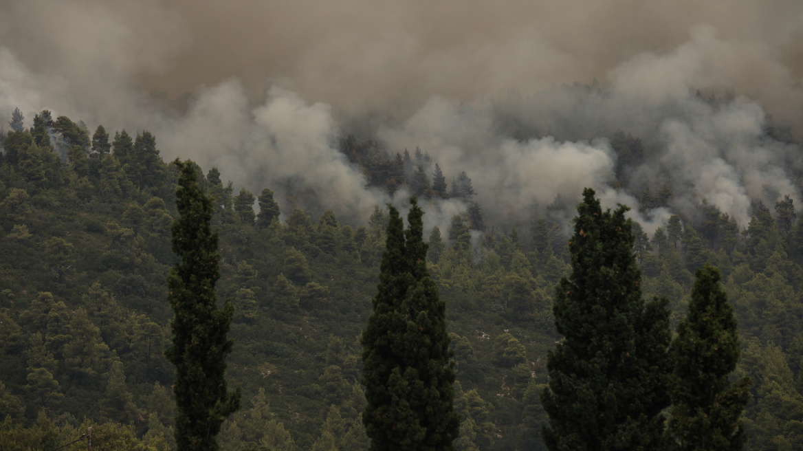 Πυροσβεστική: 65 αγροτοδασικές πυρκαγιές το τελευταίο 24ωρο σε όλη τη χώρα