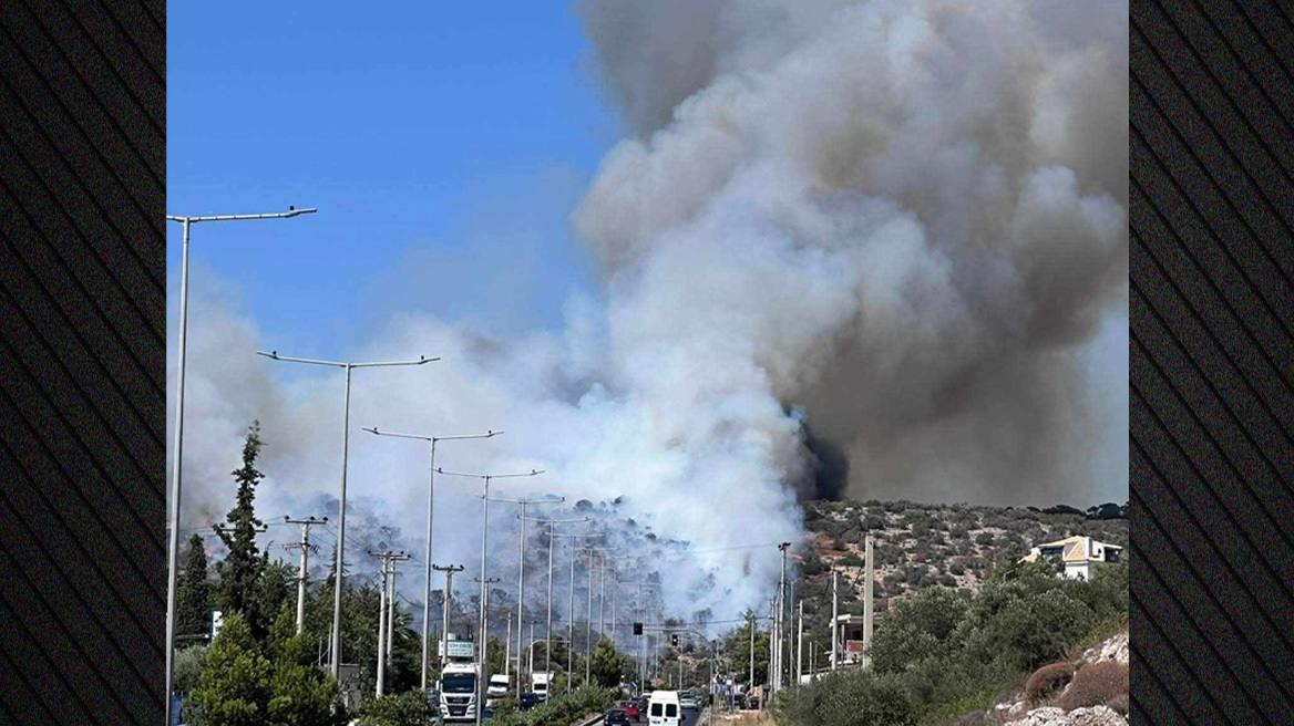 Οριοθετήθηκε σε 45 λεπτά η φωτιά στο Κίτσι, μήνυμα του 112 στα Χατζήρια - Δείτε βίντεο