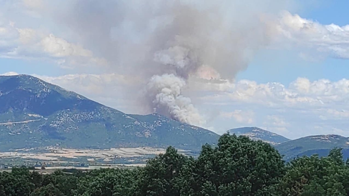 Γρεβενά: Υπο έλεγχο η φωτιά στην Δεσκάτη