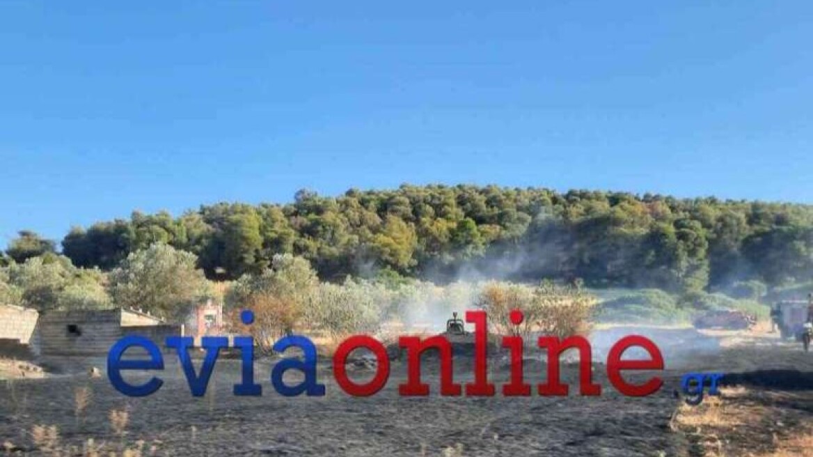 Φωτιά μικρής έκτασης στον δήμο Διρφύων στην Εύβοια – Τραυματίστηκε πυροσβέστης