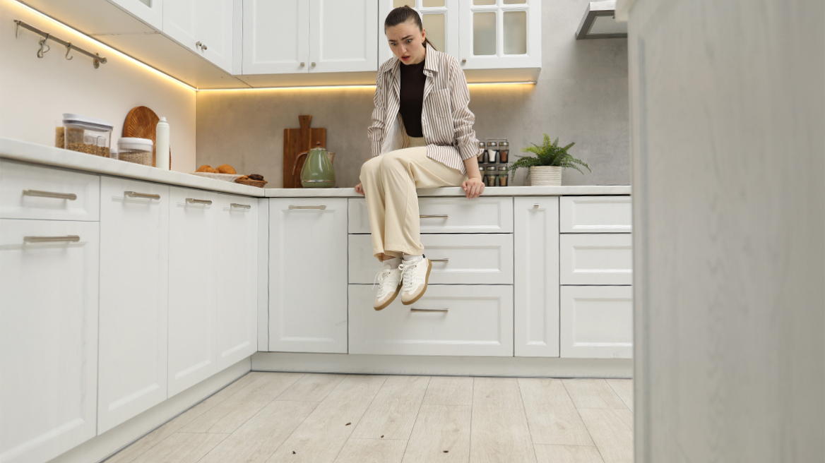 Κατσαρίδες: Για να τις διώξετε μήπως πρέπει να τις ταΐσετε πρώτα;