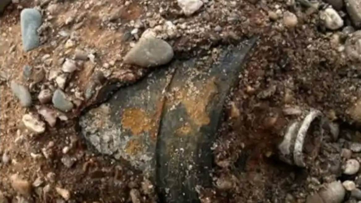 Γερμανία: Πάνω από 17.000 κάτοικοι εγκατέλειψαν γειτονιά της Δρέσδης για την εξουδετέρωση βόμβας του Β' Παγκόσμιου