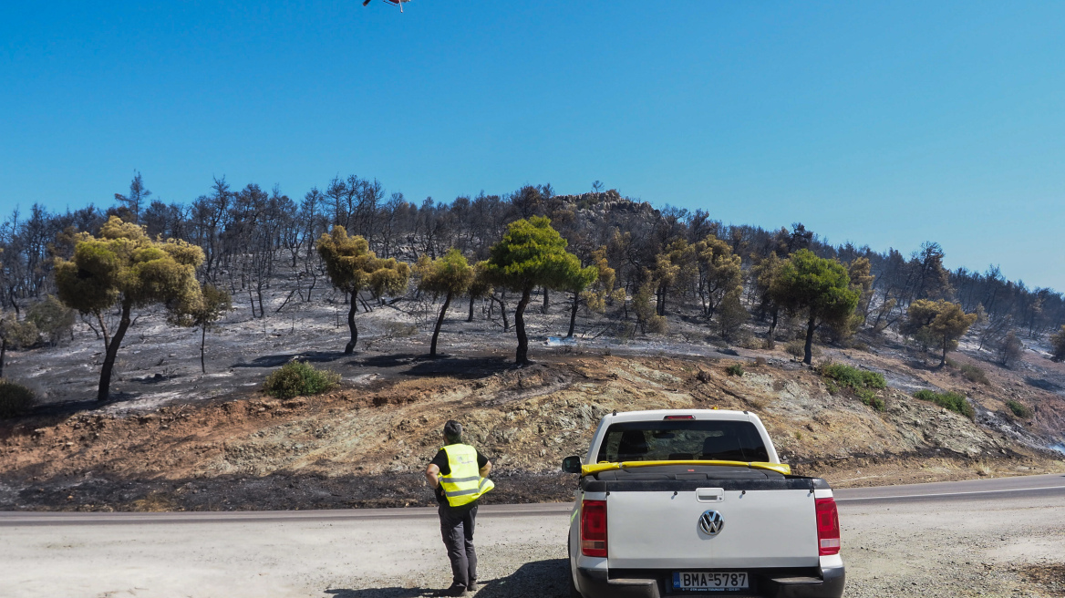 Προσήχθησαν 8 ανήλικοι με τους γονείς τους για εμπρησμούς στην Εύβοια
