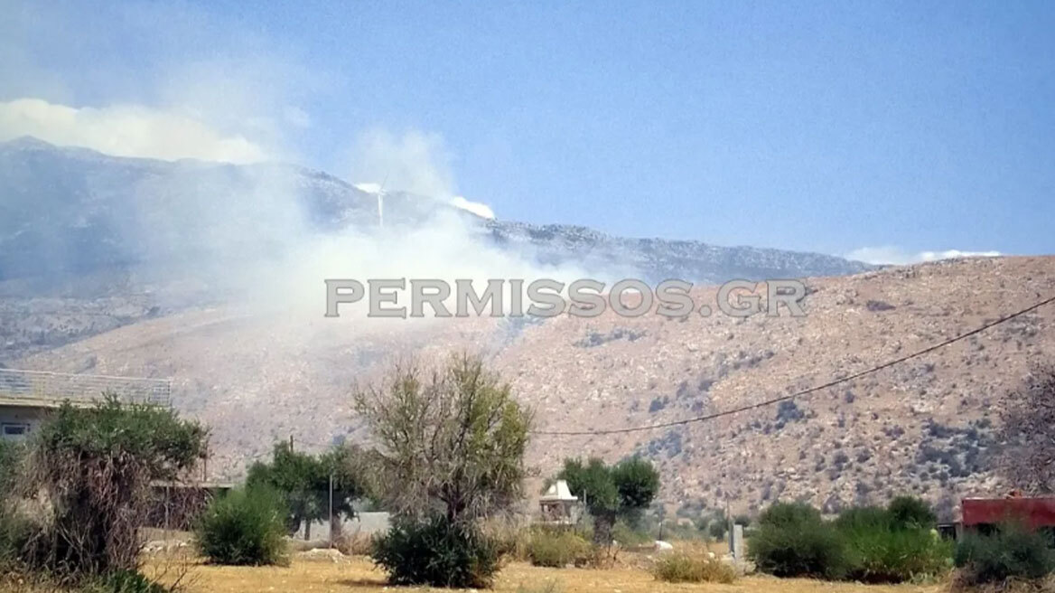 Χωρίς ενεργό μέτωπο η φωτιά στον Πρόδρομο Βοιωτίας - Διάσπαρτες εστίες στην περιοχή