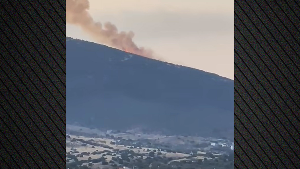 Φωτιά σε δασική έκταση στο Μακρυχώρι Καβάλας