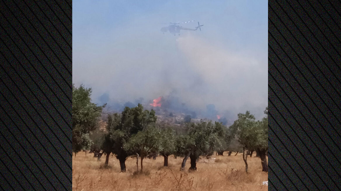 Χωρίς ενεργό μέτωπο η φωτιά στο Κουμιντρί Μεγάρων - Δείτε βίντεο