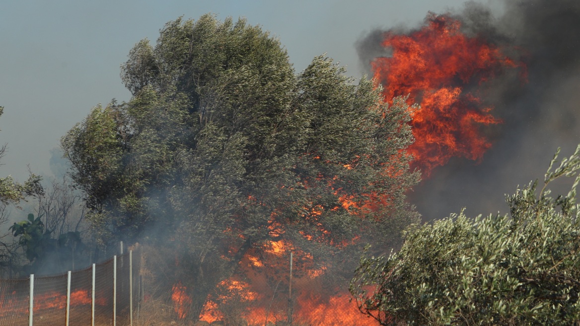«Η δυναμική που απέκτησε η πυρκαγιά ήταν πάρα πολύ έντονη, ασταμάτητοι οι άνεμοι», λέει ο πρόεδρος αξιωματικών πυροσβεστικής