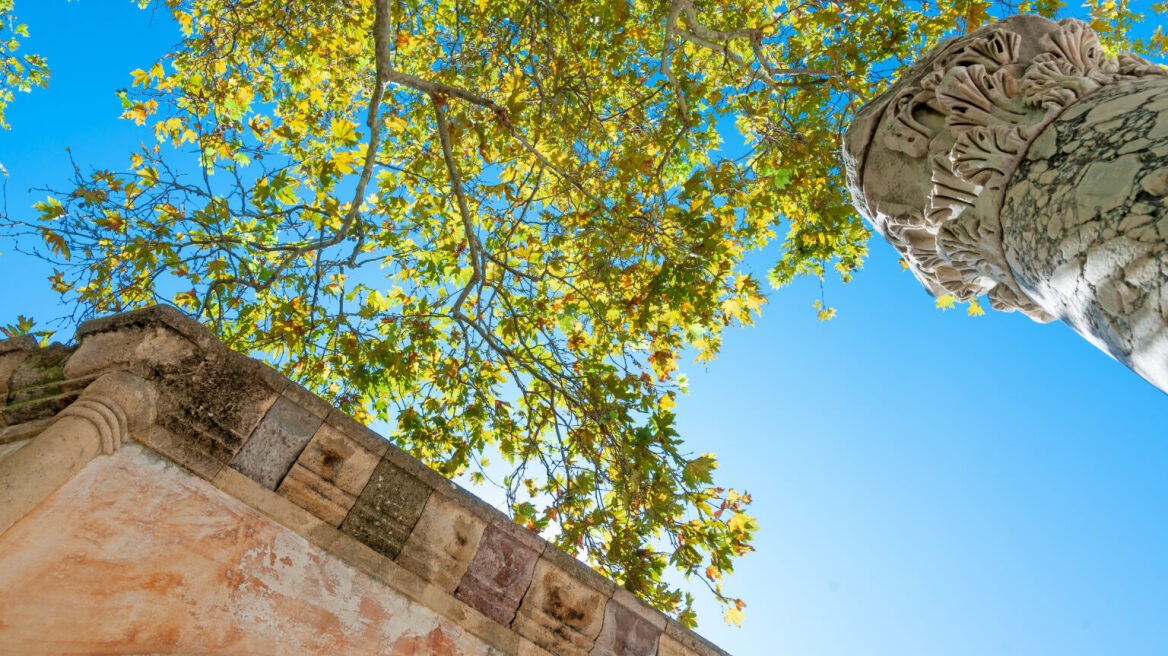 Διακοπές στην Κω: Οι ωραιότερες εμπειρίες στο νησί του Ιπποκράτη
